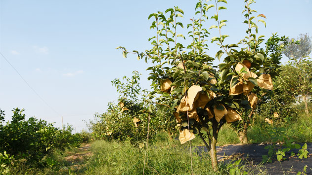 人生就是搏·(中国区)官方网站
